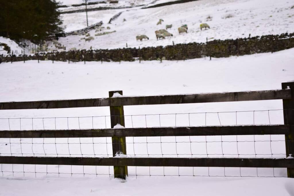 Cranmore House - A Walkers' And Cyclists' Dream Nenthead Экстерьер фото